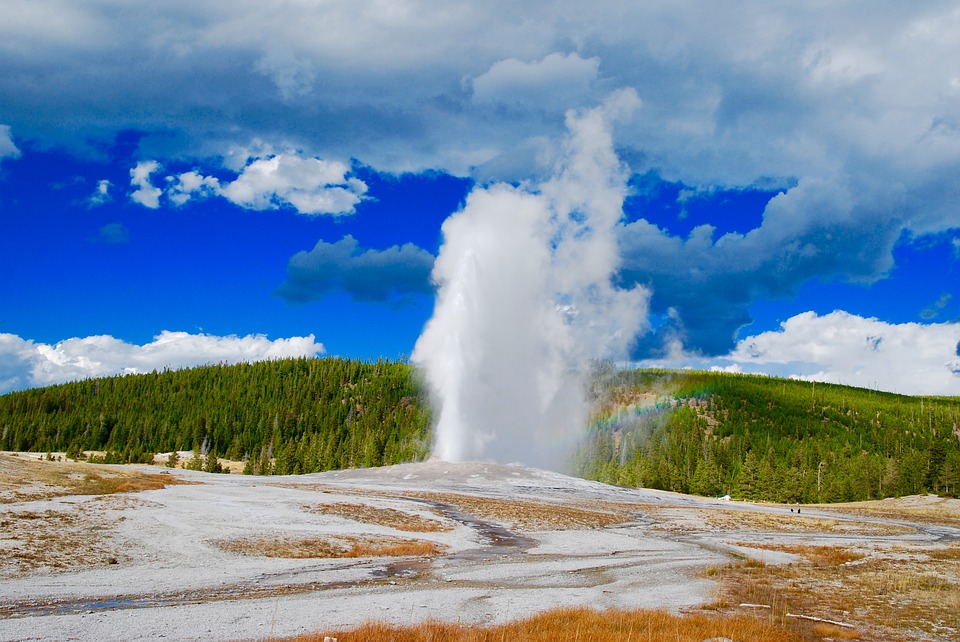 Yellowstone Geyser