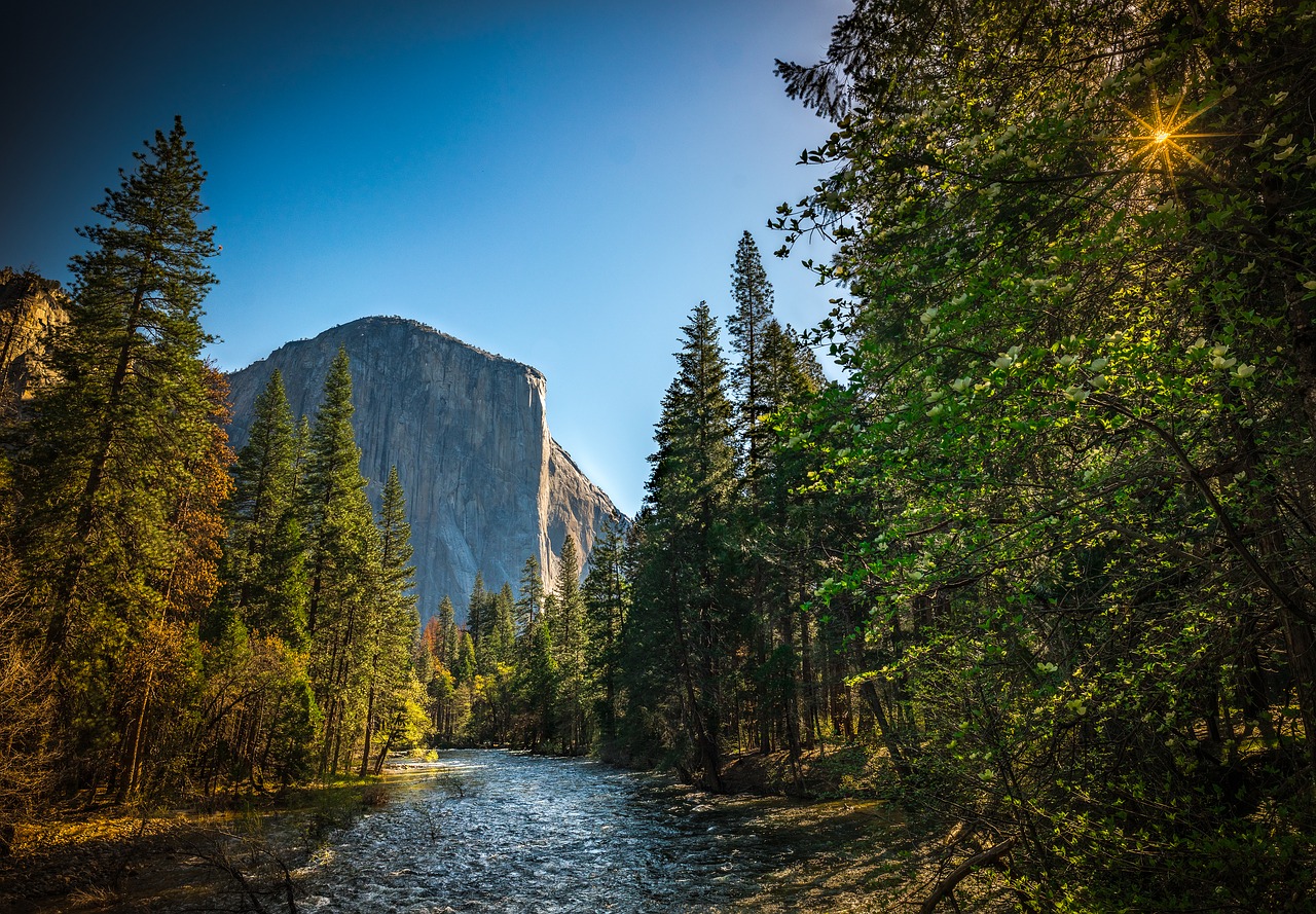 Yosemite National Park